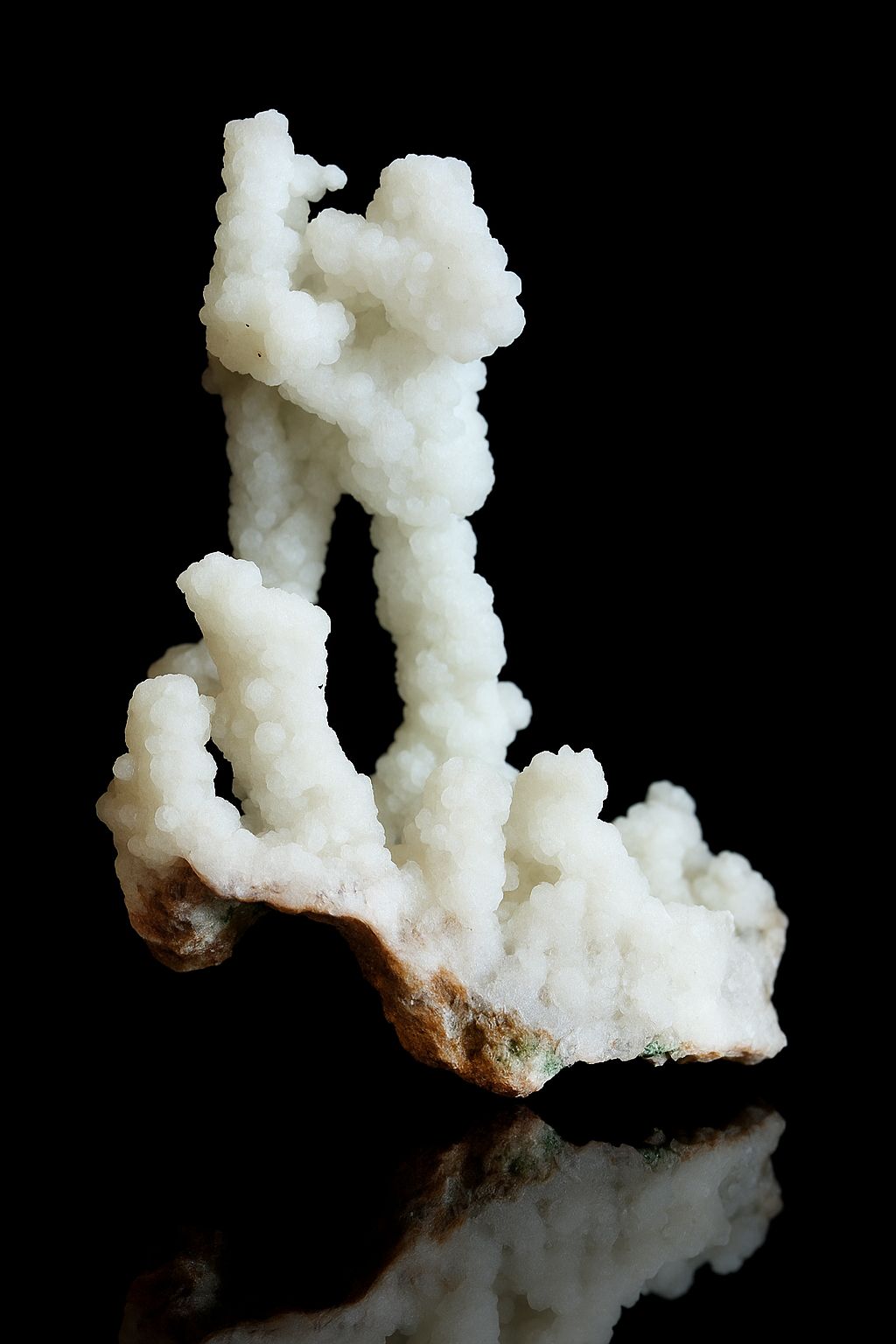 Chalcedon